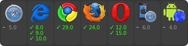 browser support
